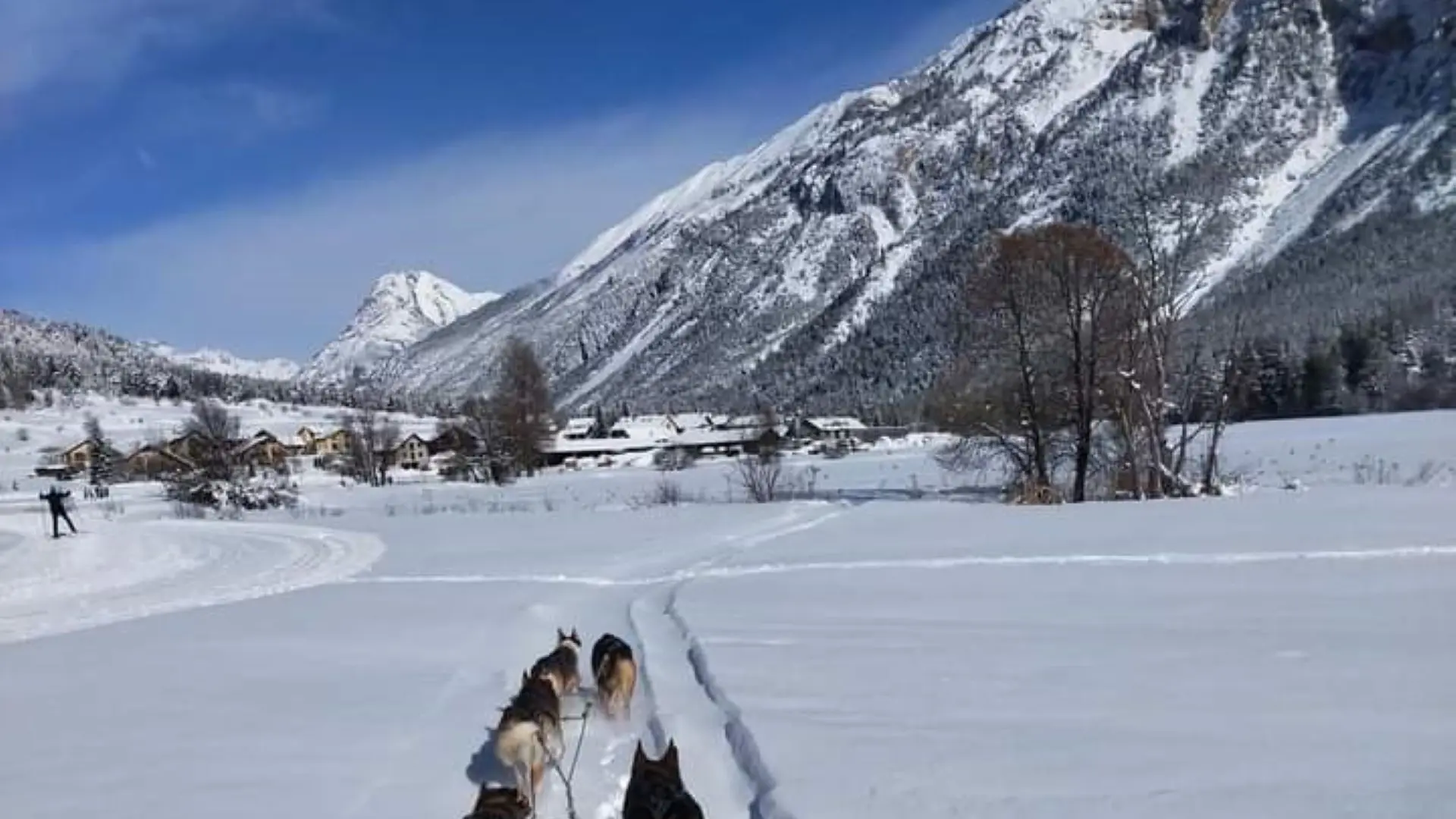 L'Empreinte nordique - Chiens de traineaux - La Clarée - Hautes Vallées