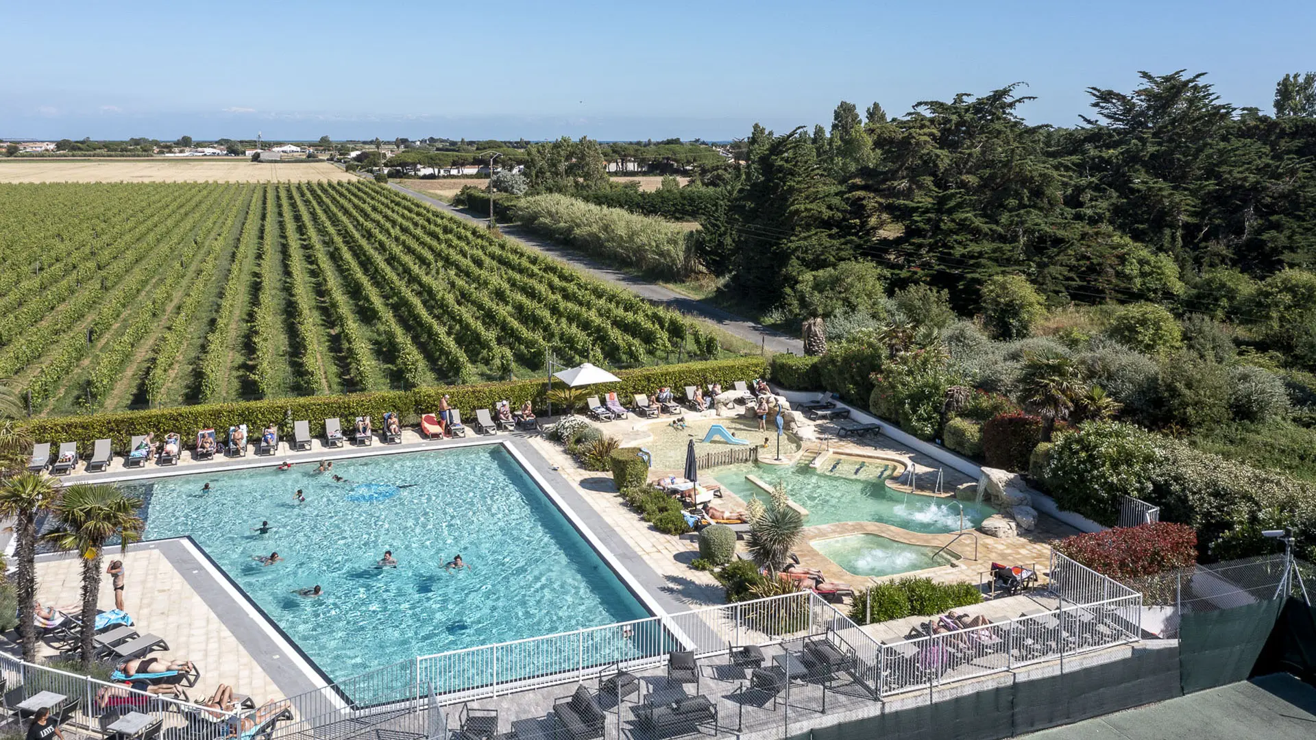 Vue aérienne avec piscine et vignes