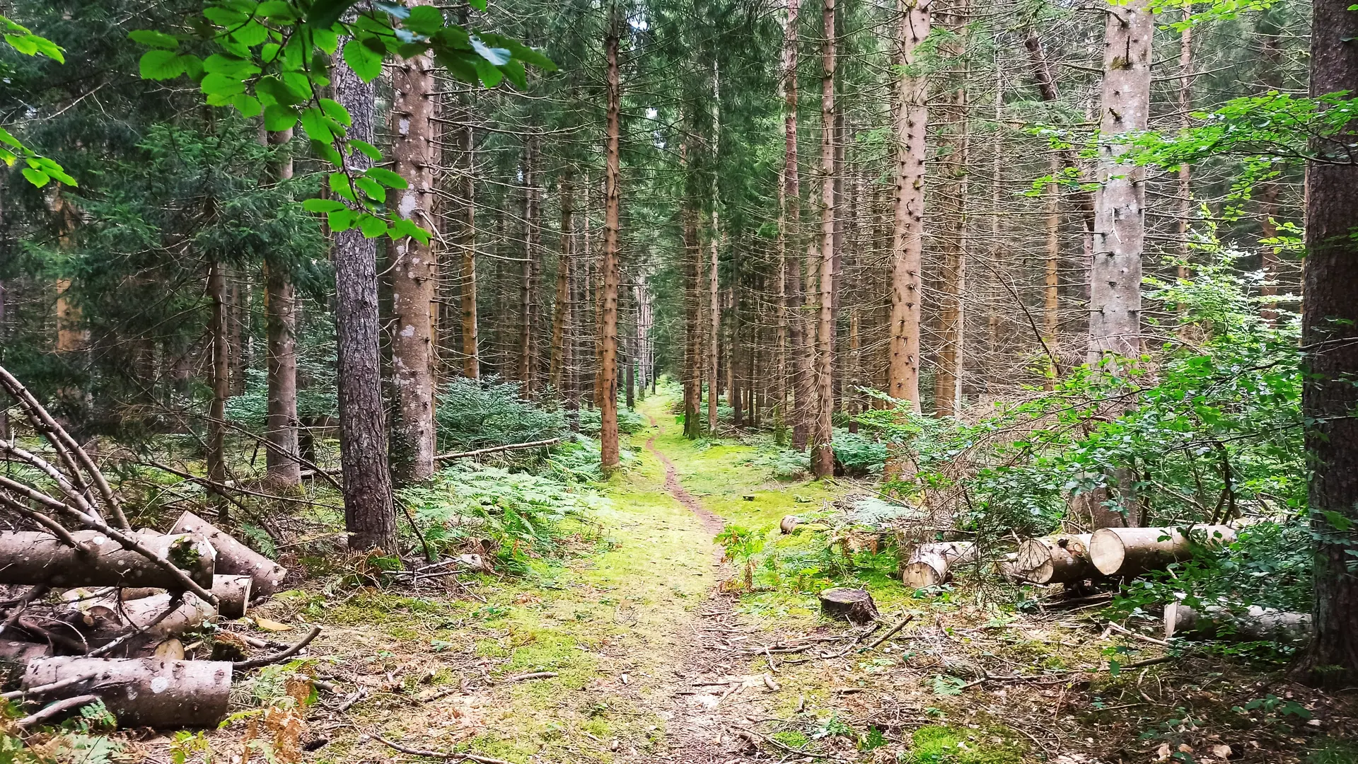 Randonnée VTT Le Puy de la Nugère