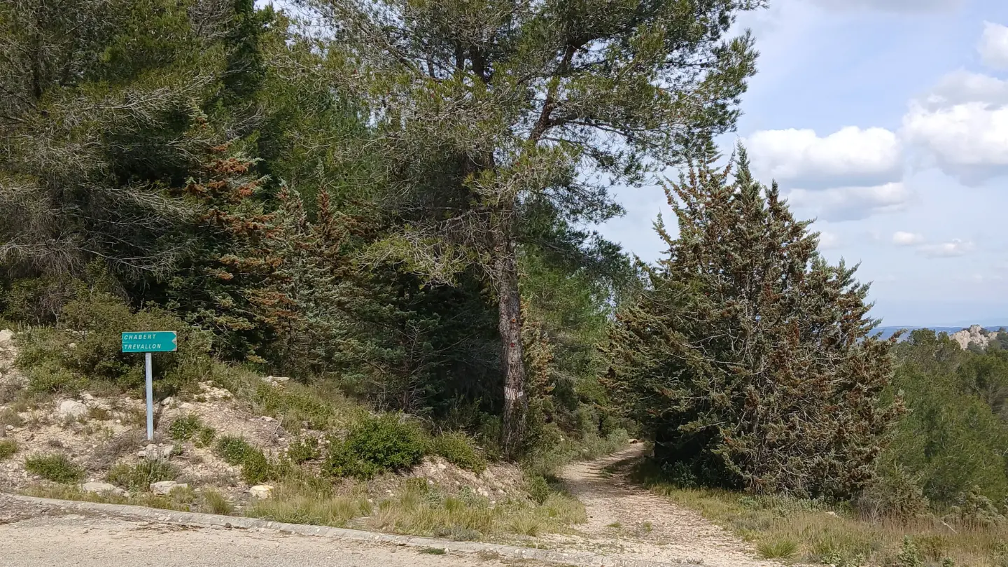 La Lèque_Saint-Rémy-de-Provence