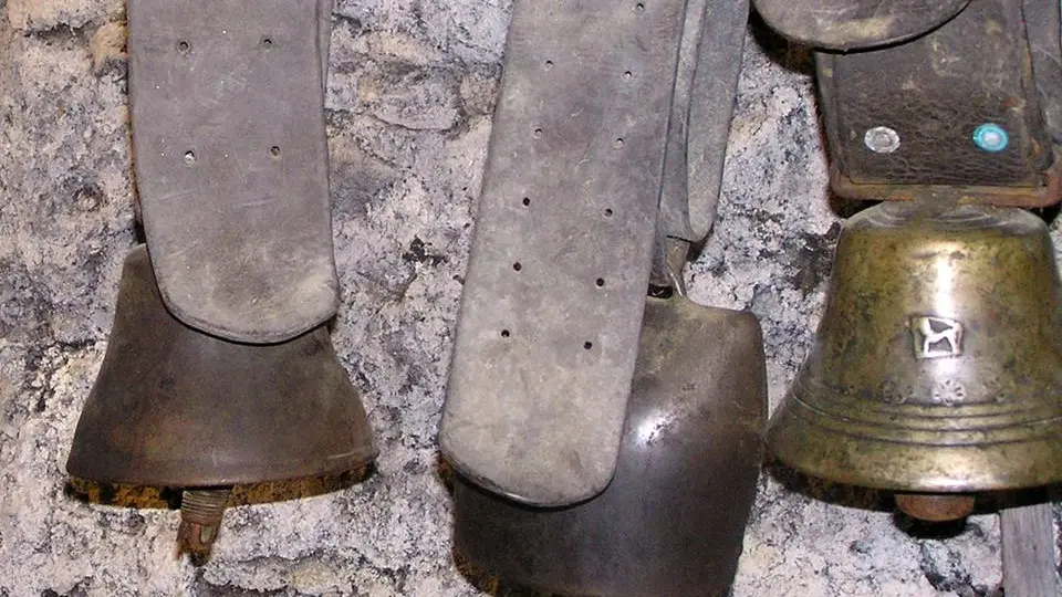 dans l'écurie