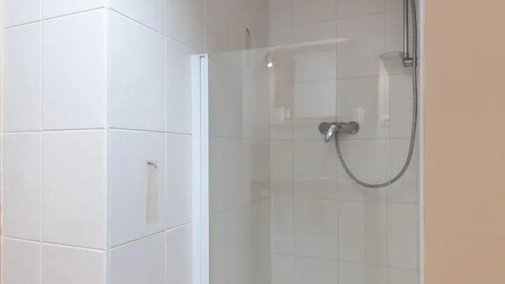 Douche du cabinet de toilette