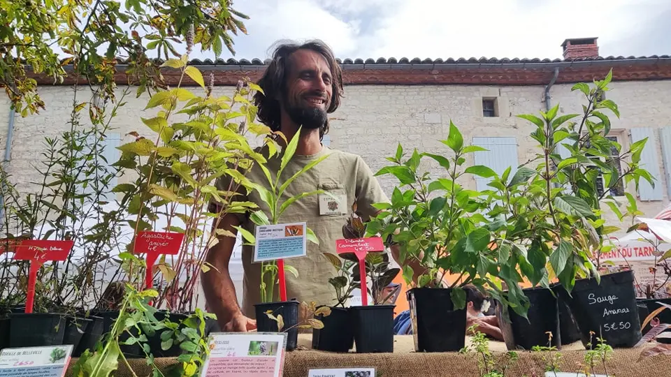 pépiniere des forets à croquer et son stand sur le marché de villeneuve sur vère