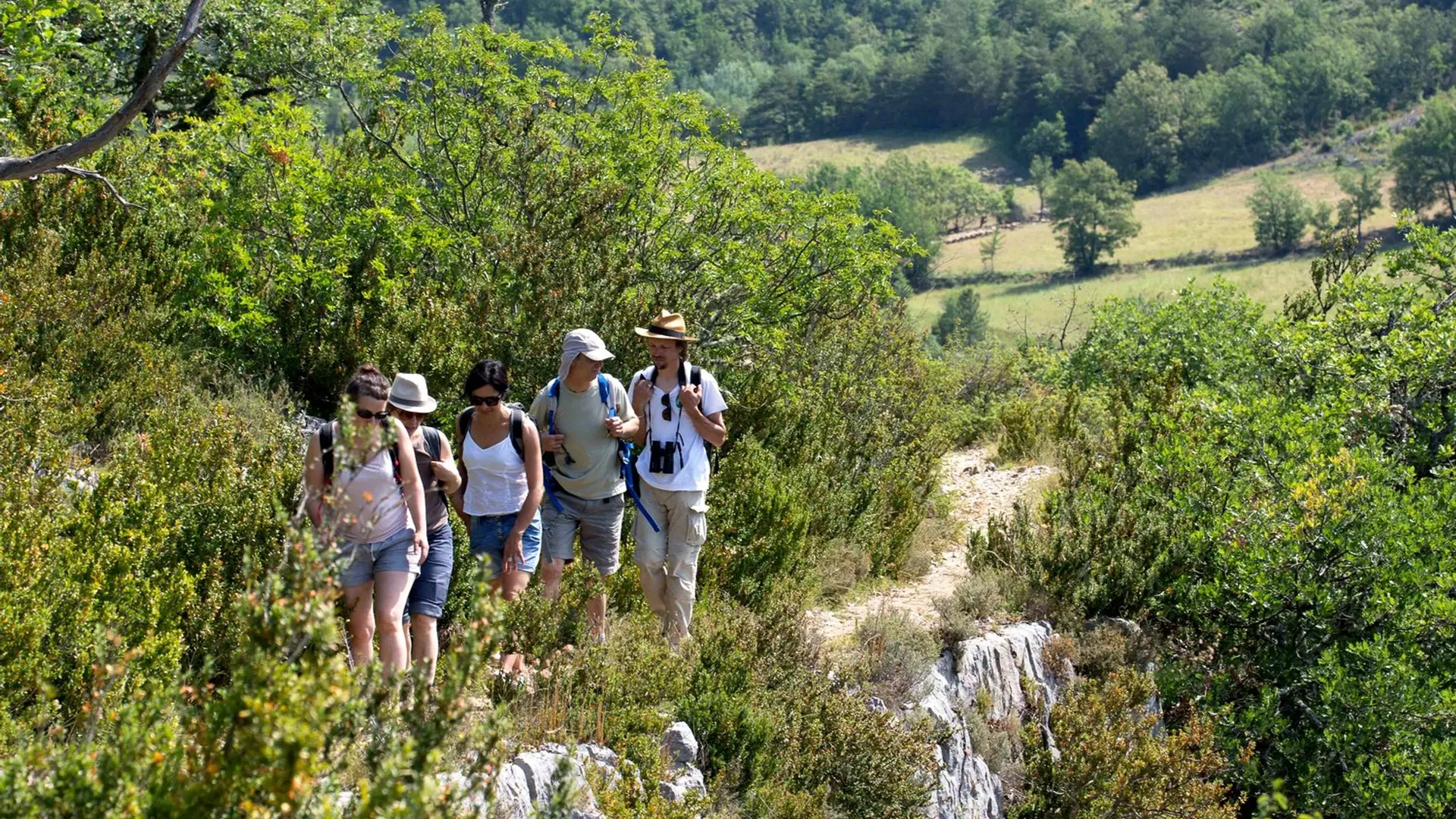 Cheminement autour des Gorges d'Oppedette