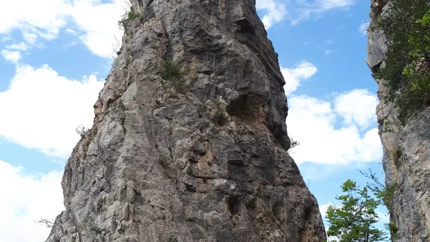 au pied des tours