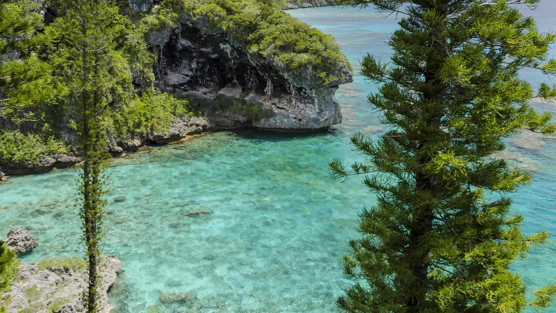 View from the top of the cliffs