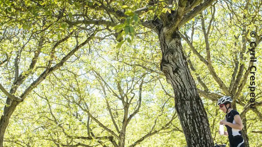 La Drômoise des familles