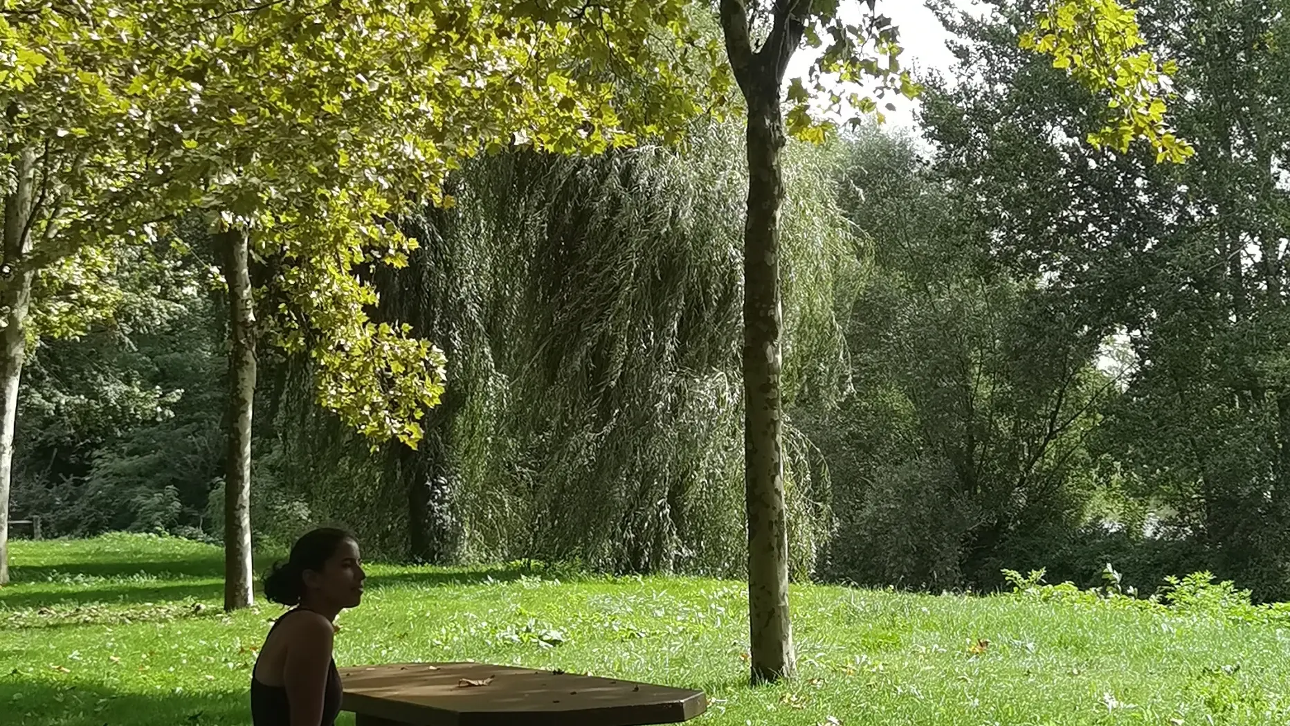 Berge de l'Aveyron Bioule