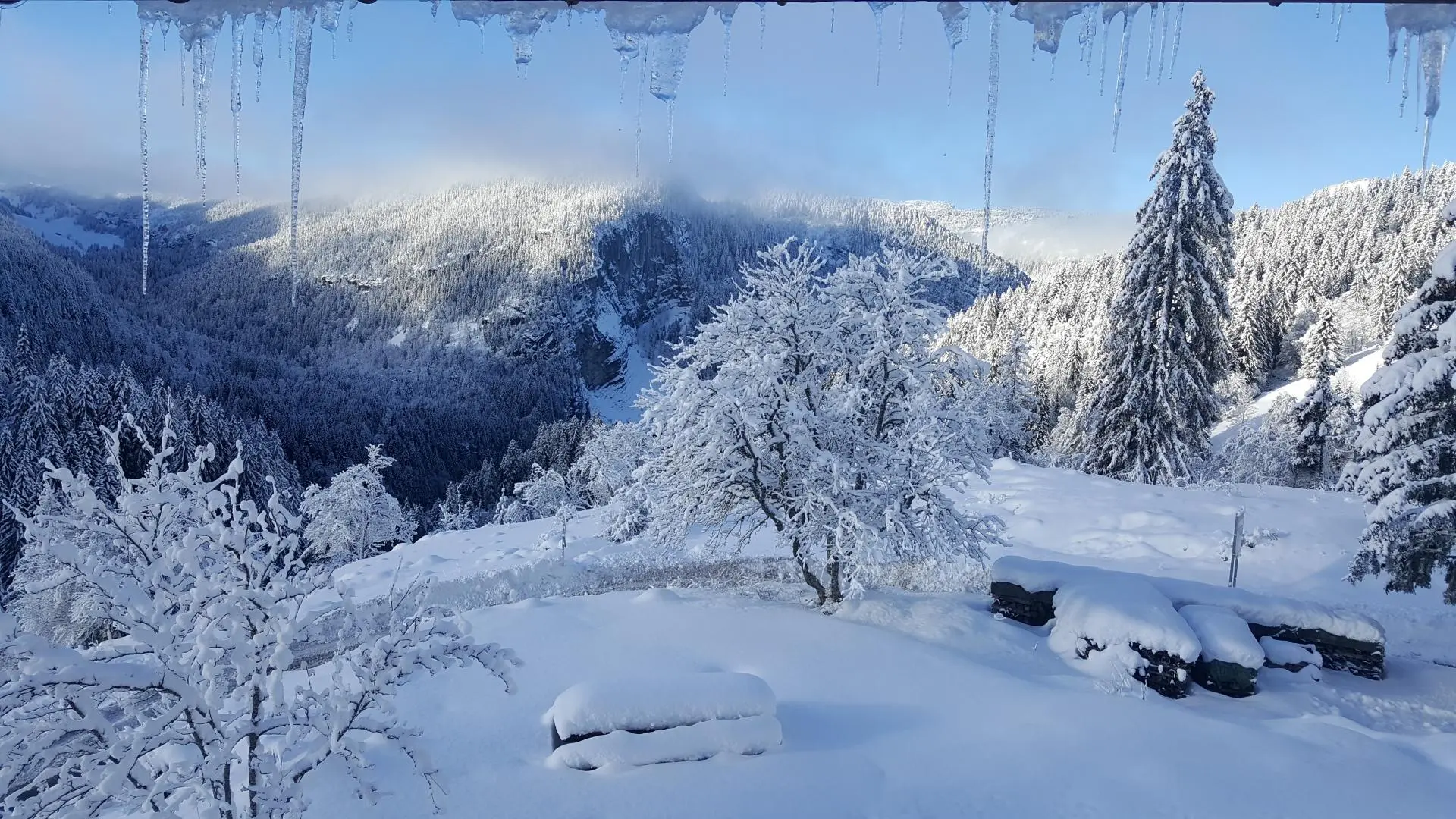 Vue depuis la cuisine