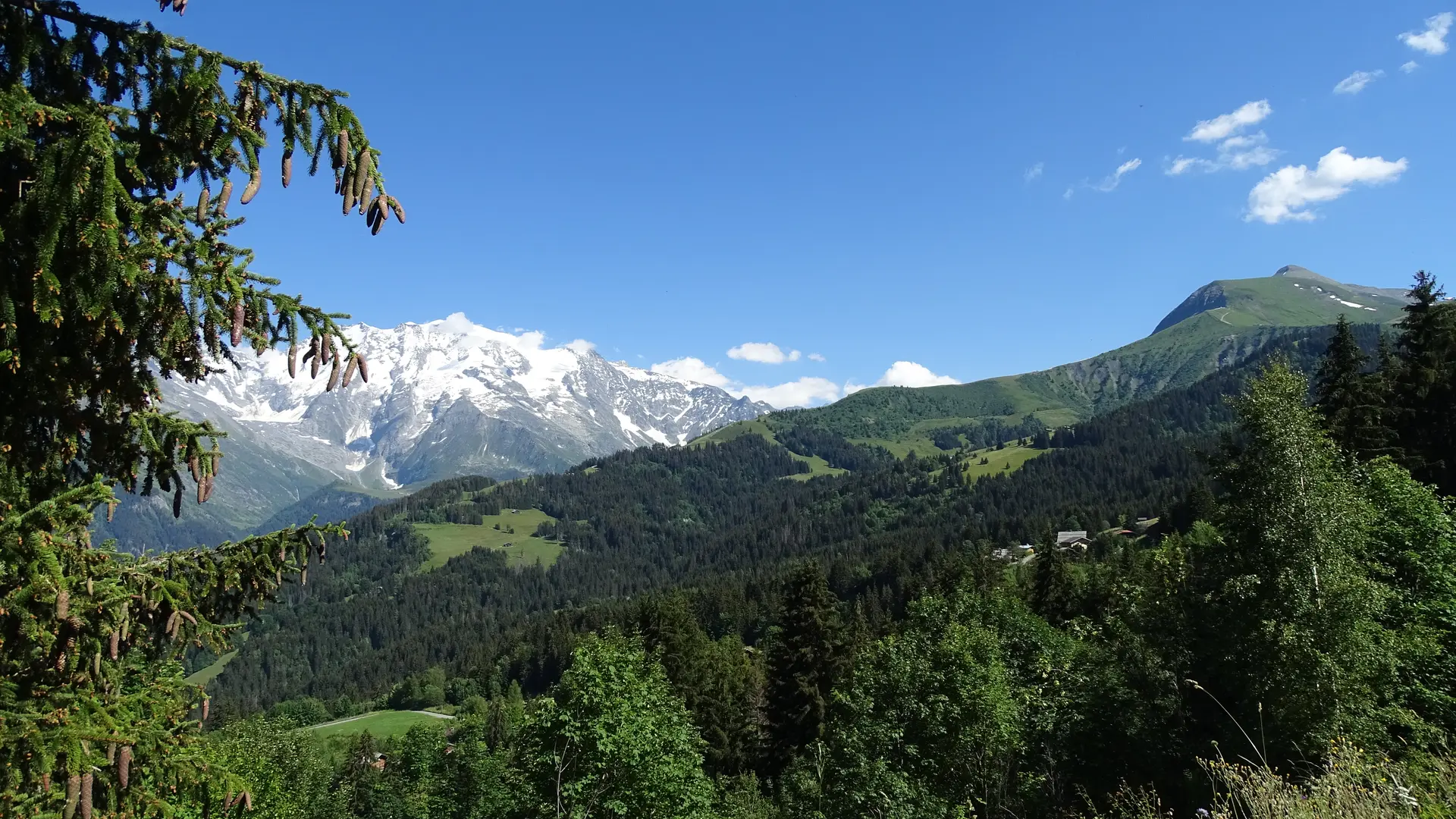 Montée du Mont Joly
