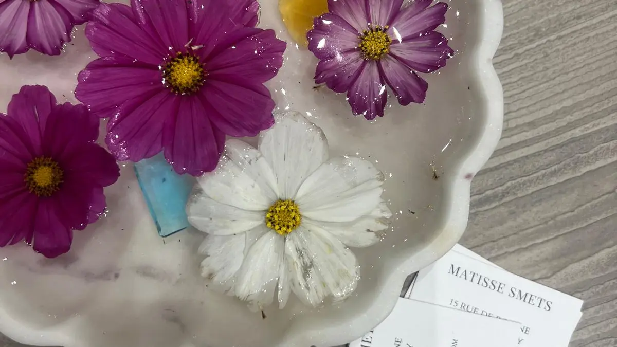 Présentoir de la boutique