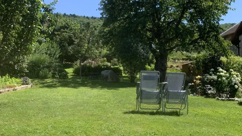Jardin arrière