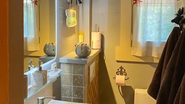 Salle d'eau avec douche à l'italienne et WC.