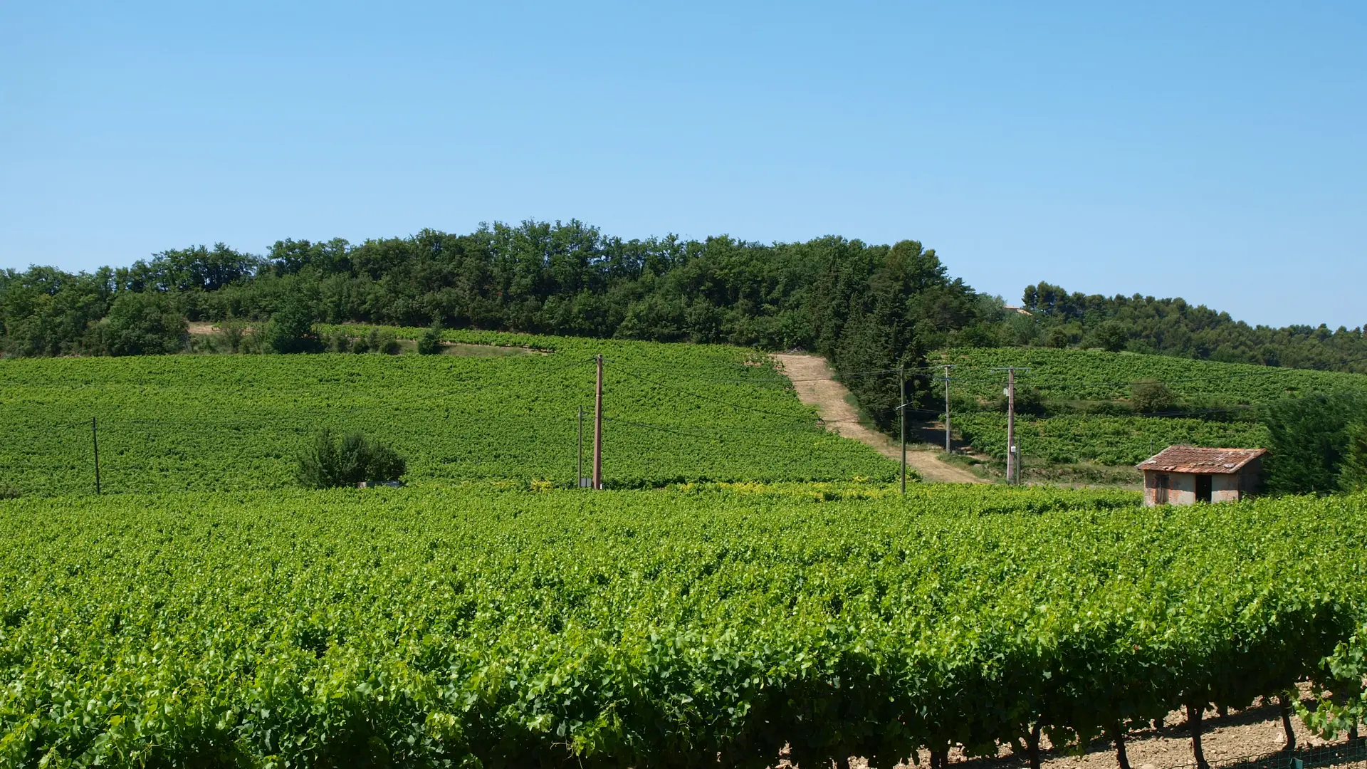 mme trouchet - chambre d'hote; luberon cote sud, ansouis