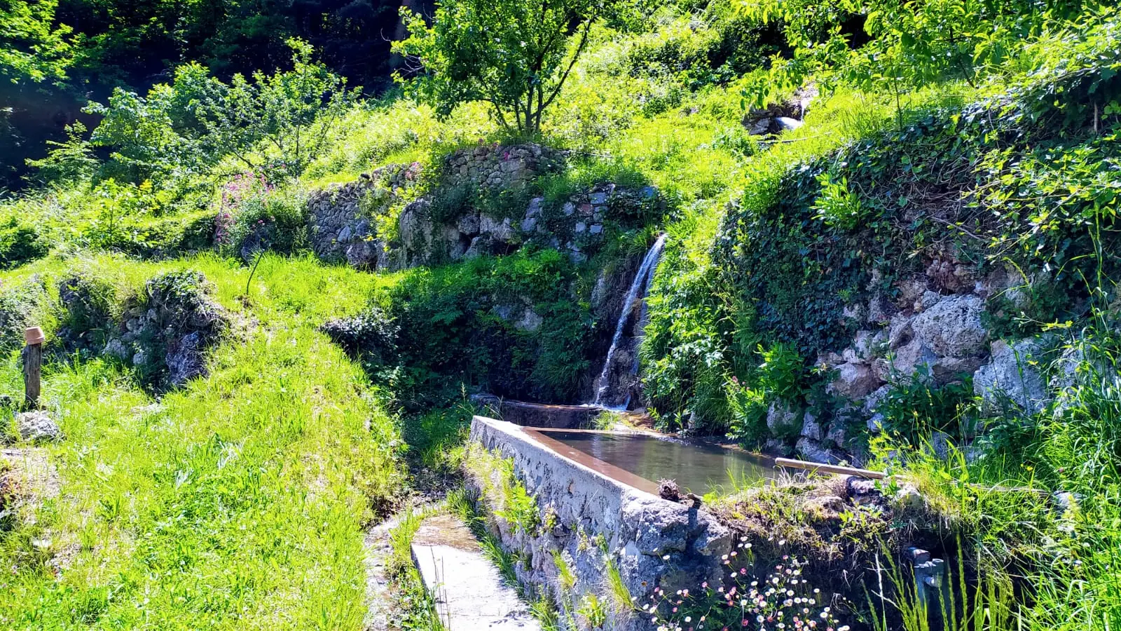 Jardin potager du Berghon