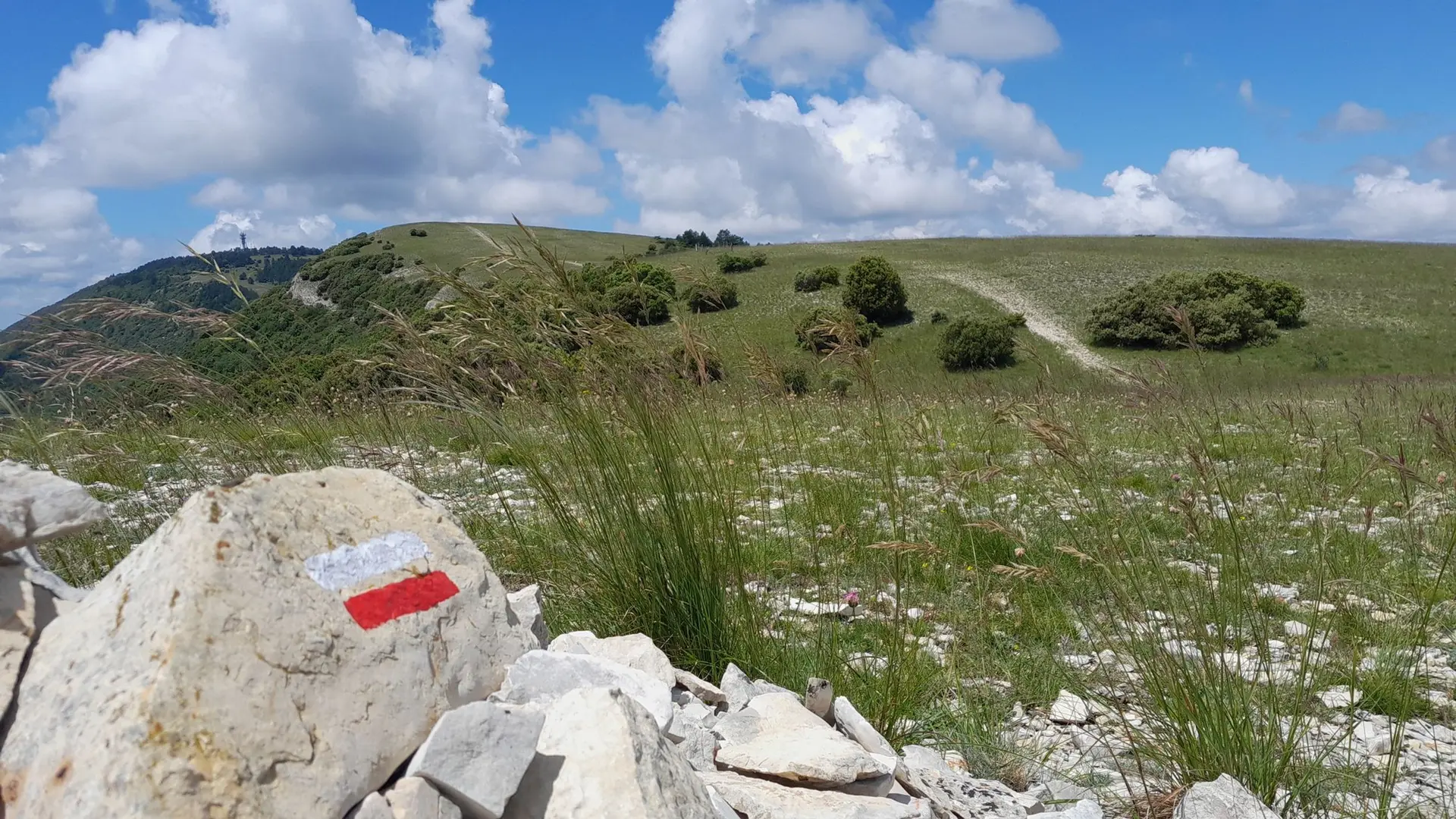 Sur les crêtes du Grand Luberon