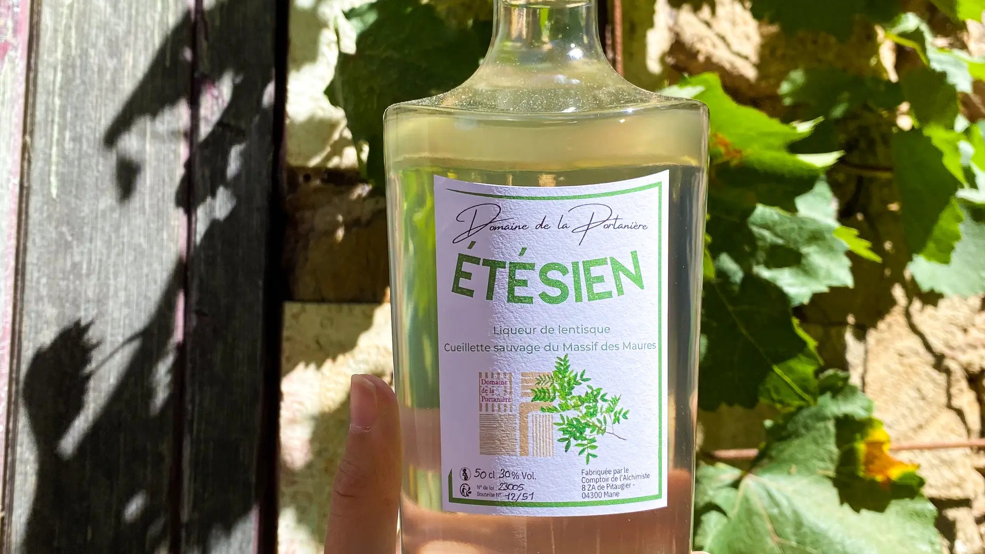 Production de liqueur de pistachier lentisque : ÉTÉSIEN à Collobrières