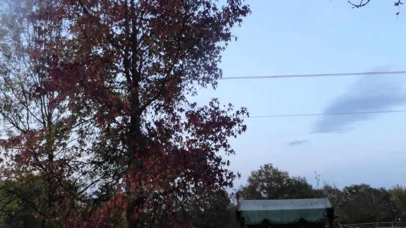 Ferme Passion - Chambre Dombes - Parc en automne