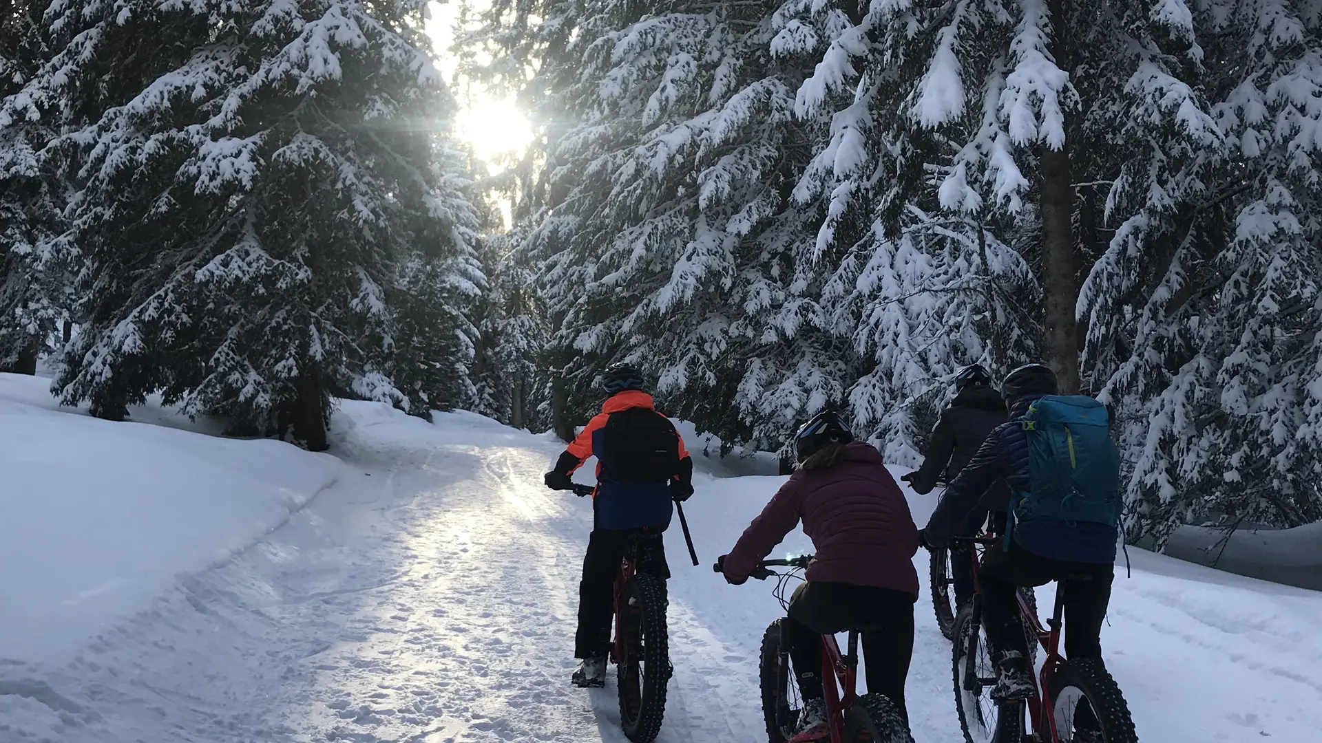 Fat Bike Party
