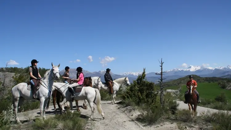 Les ecuries de la Luye, rando cheval, gap hautes alpes