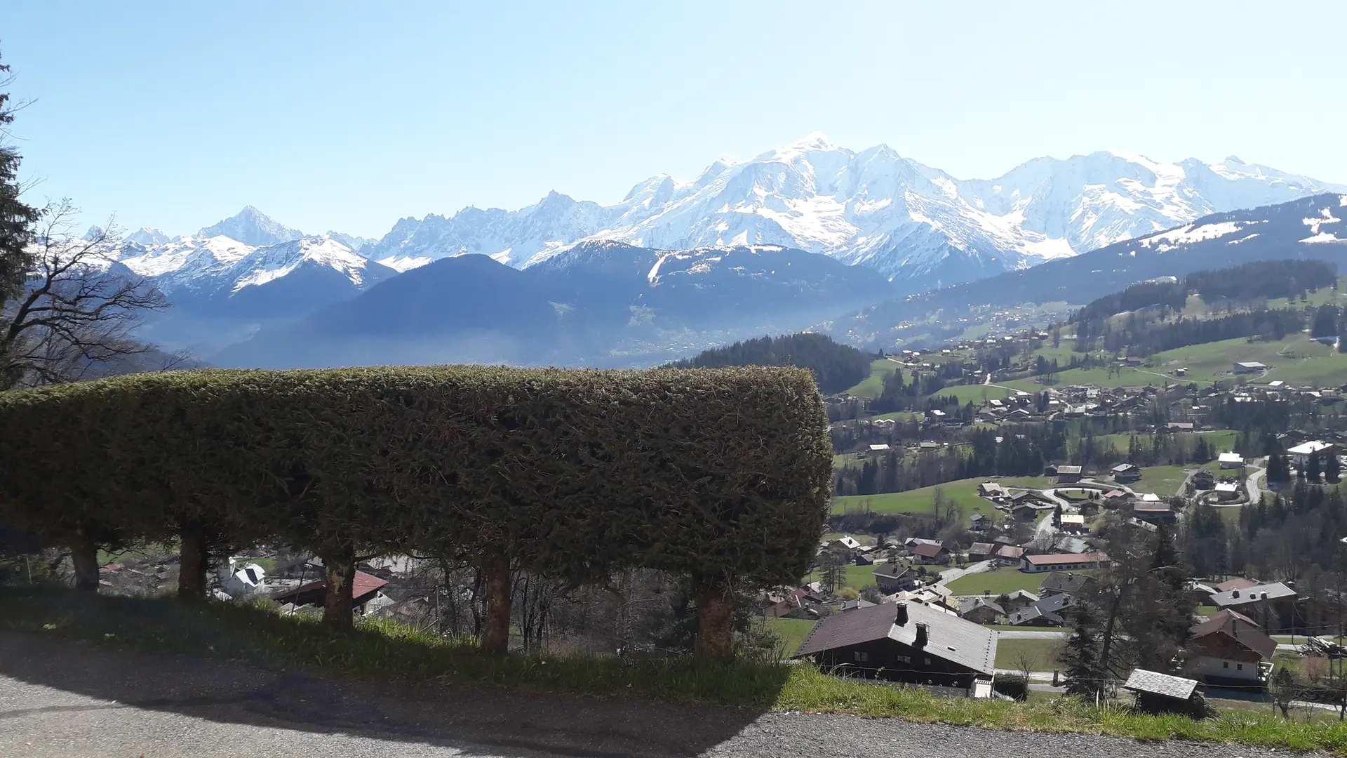 Vue Mont-Blanc avec haie