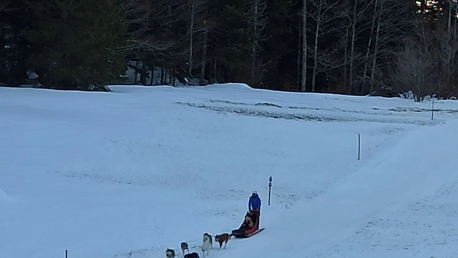L'activité chiens de traîneaux au départ de l'auberge-refuge du Col de Carri