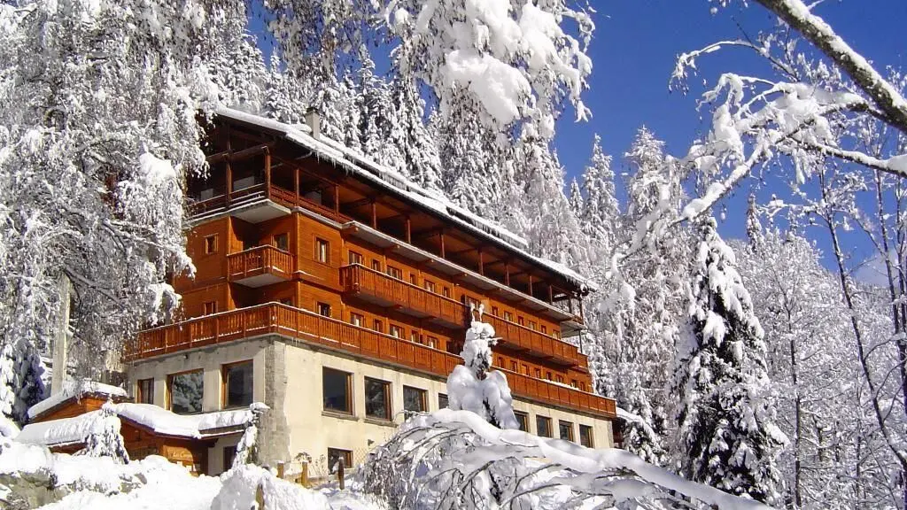 Campanules hiver
