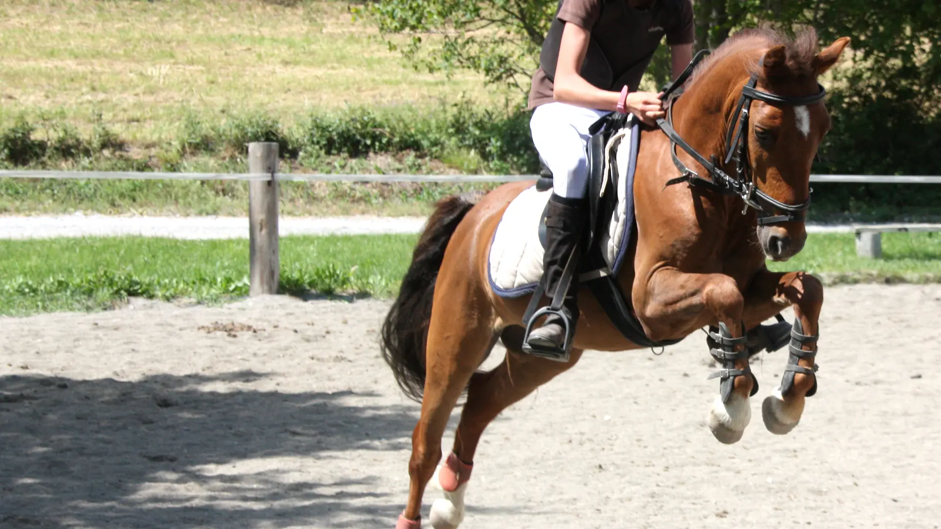 monter à cheval balade en poney enfant
