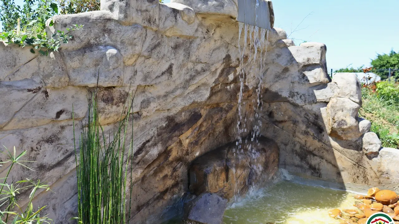 La cascade, point de fraicheur dans votre jardin