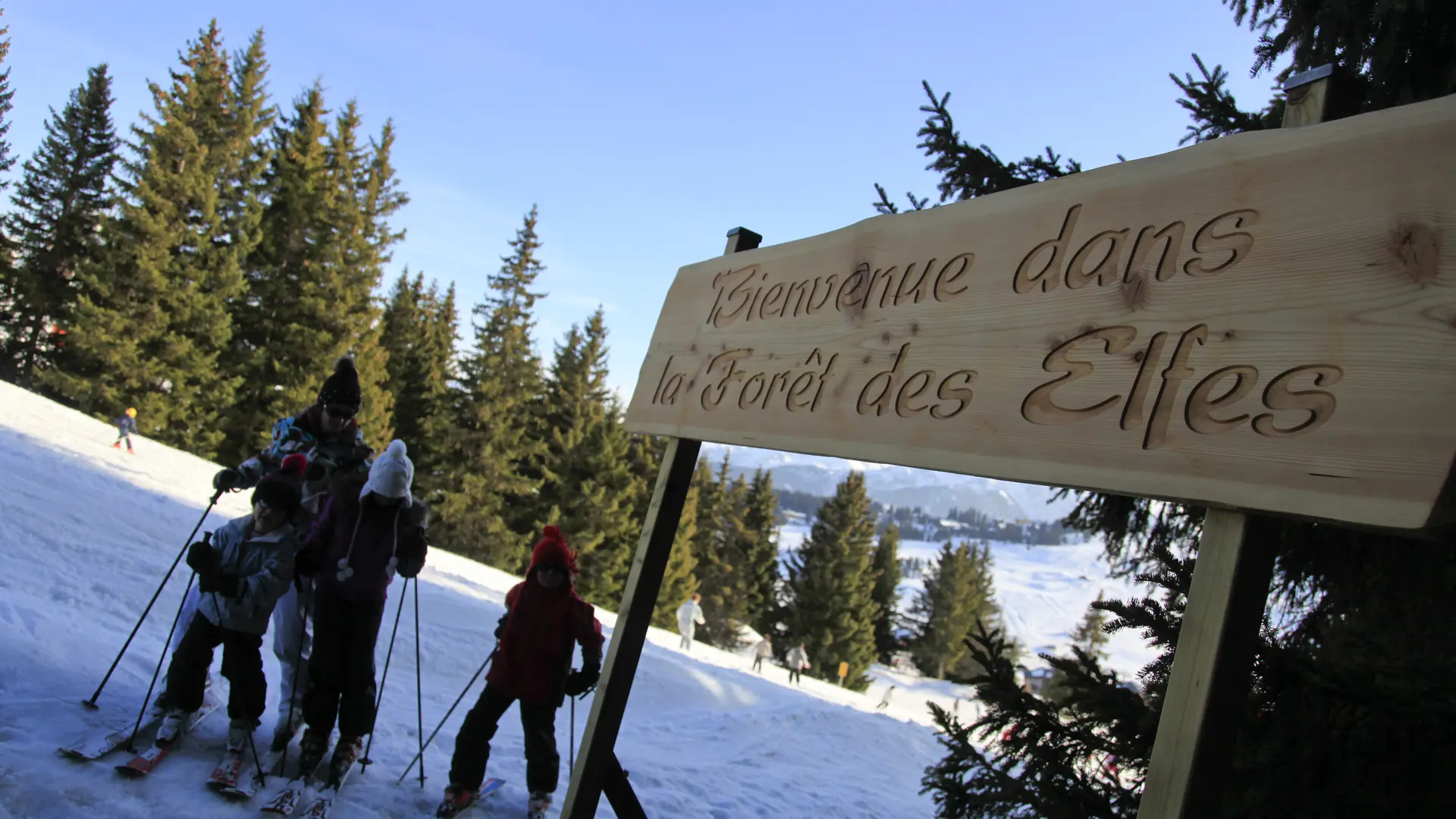 L'entrée de la forêt des elfes