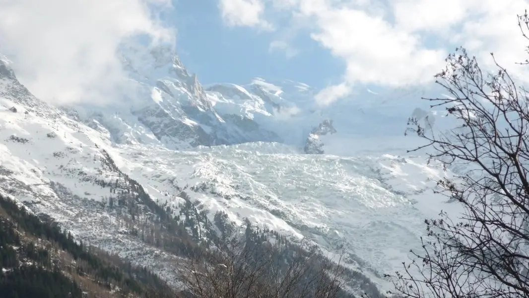 Le Mont-Blanc et le glacier des Bossons depuis le jardin