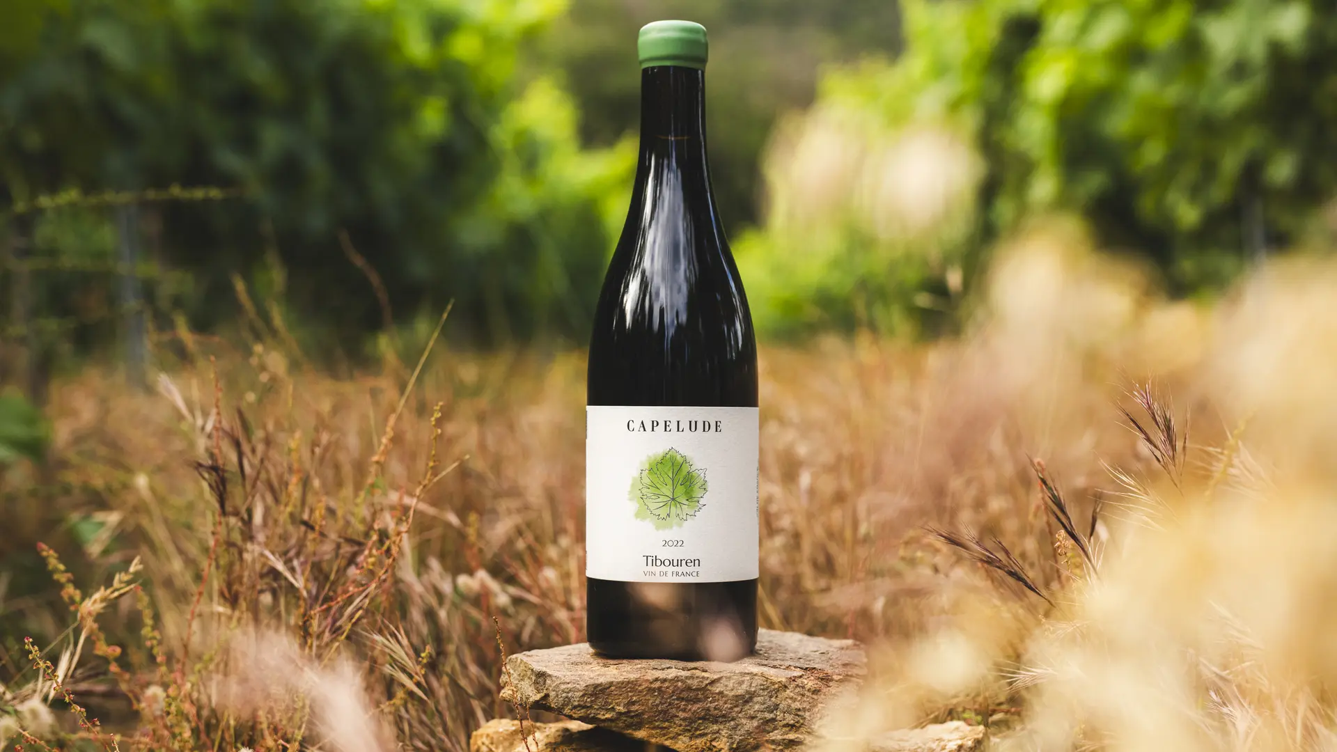 Tibouren Domaine de Capelude à Collobrières