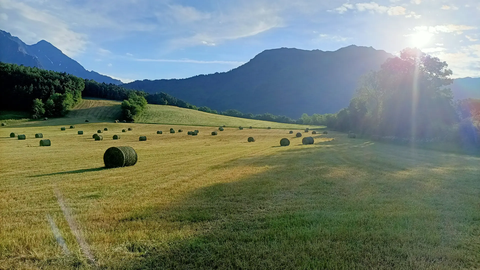 GAEC du Banc du Peyron