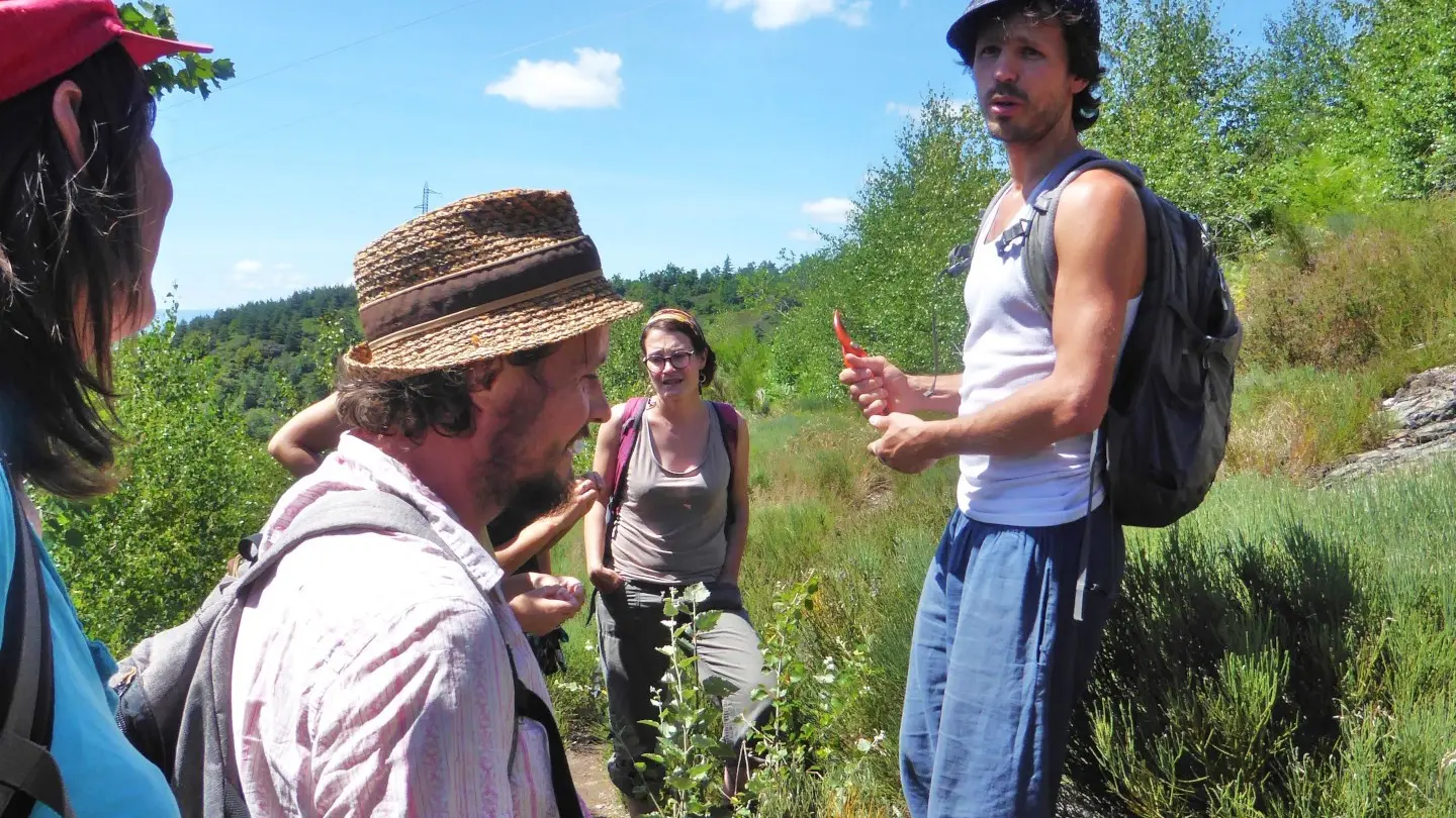 Rencontre avec les plantes sauvages, dans la vallée de l'Ondenon