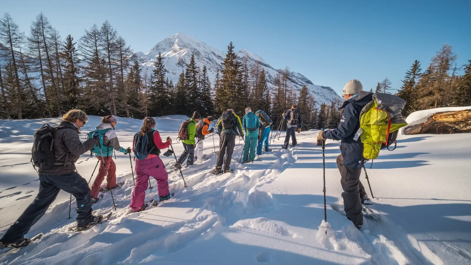 Raquettes_Evolution 2