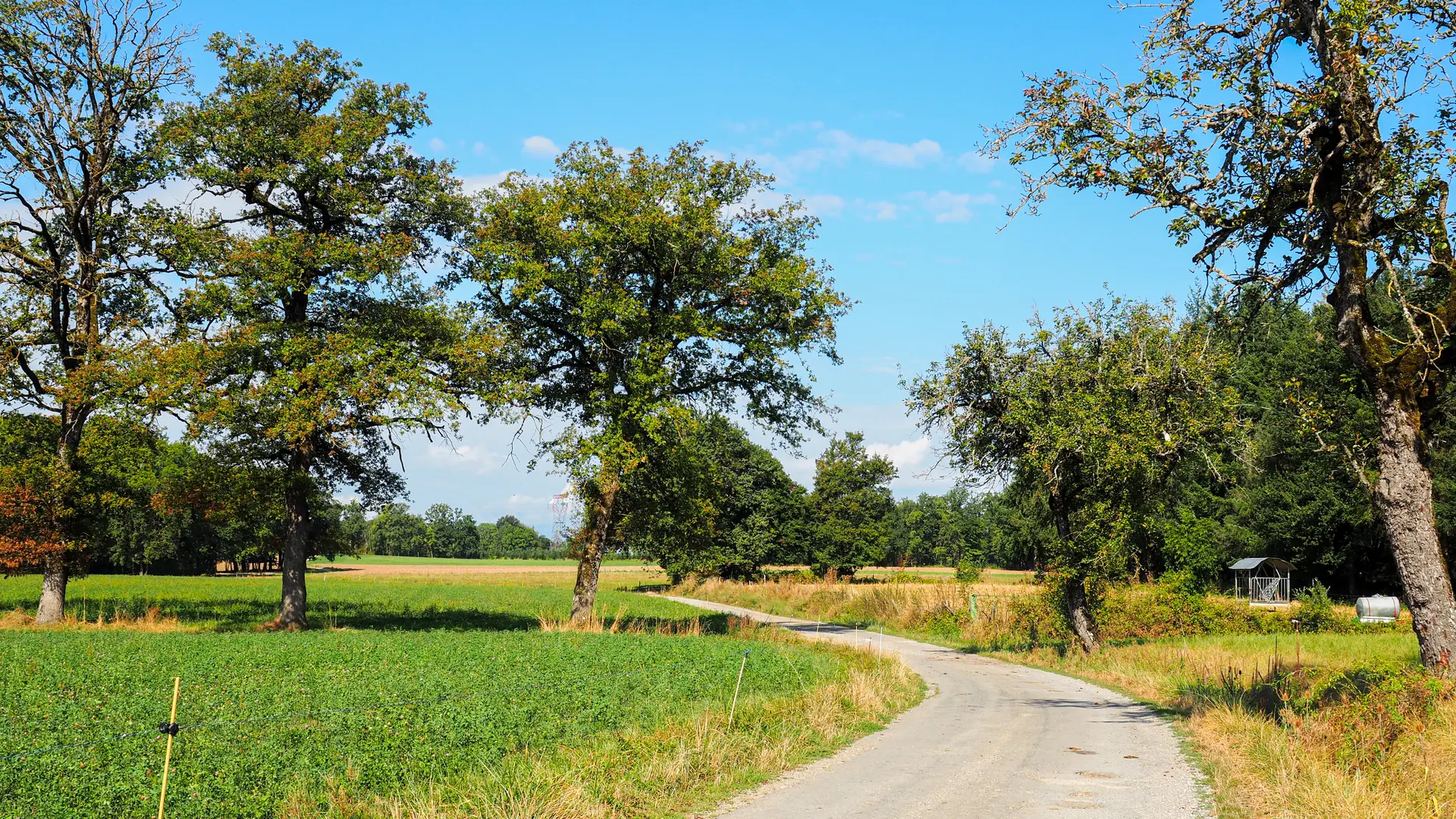 Chemin