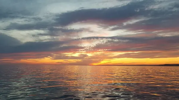 Evening sailing cruise in the Frioul's Island - Quay of Honor Town Hall