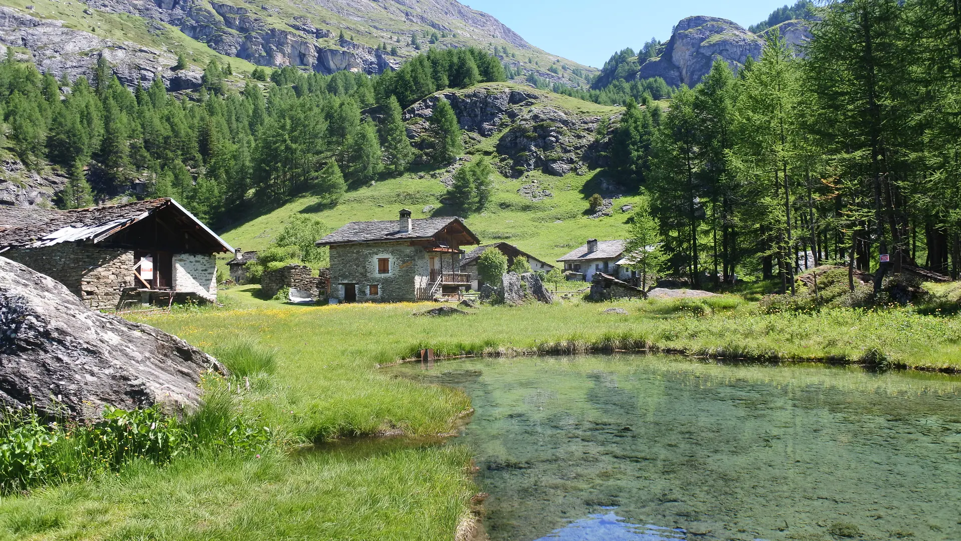 Le Monal au printemps