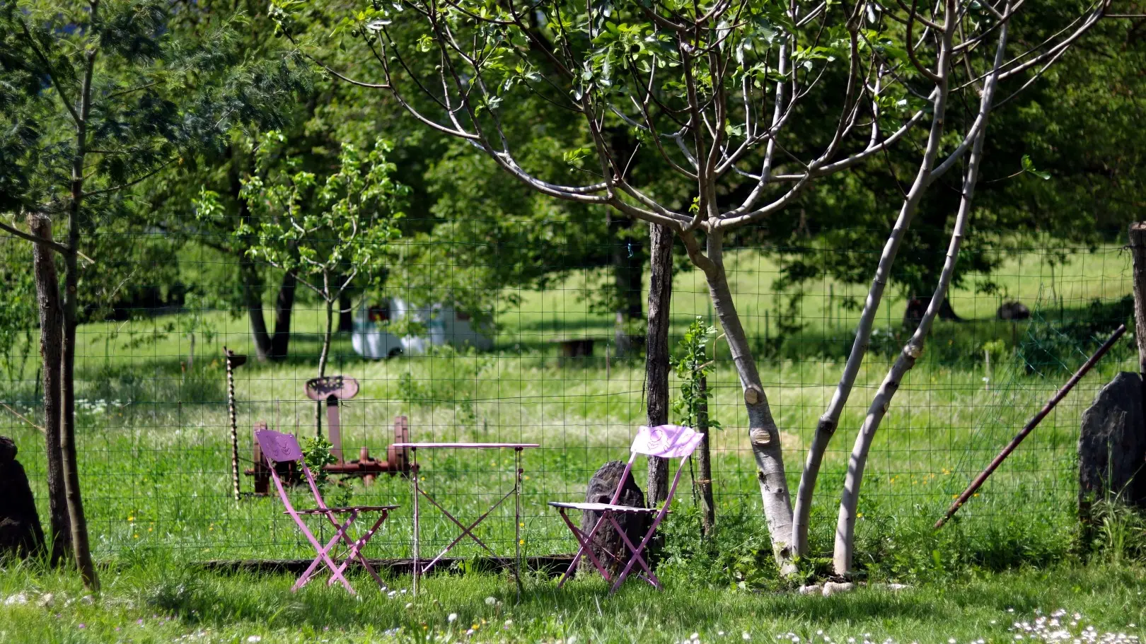 jardin