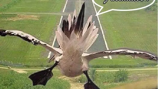 Réouverture du musée le 1er avril