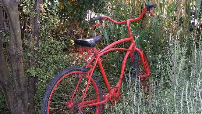 Vélo rouge et végétation