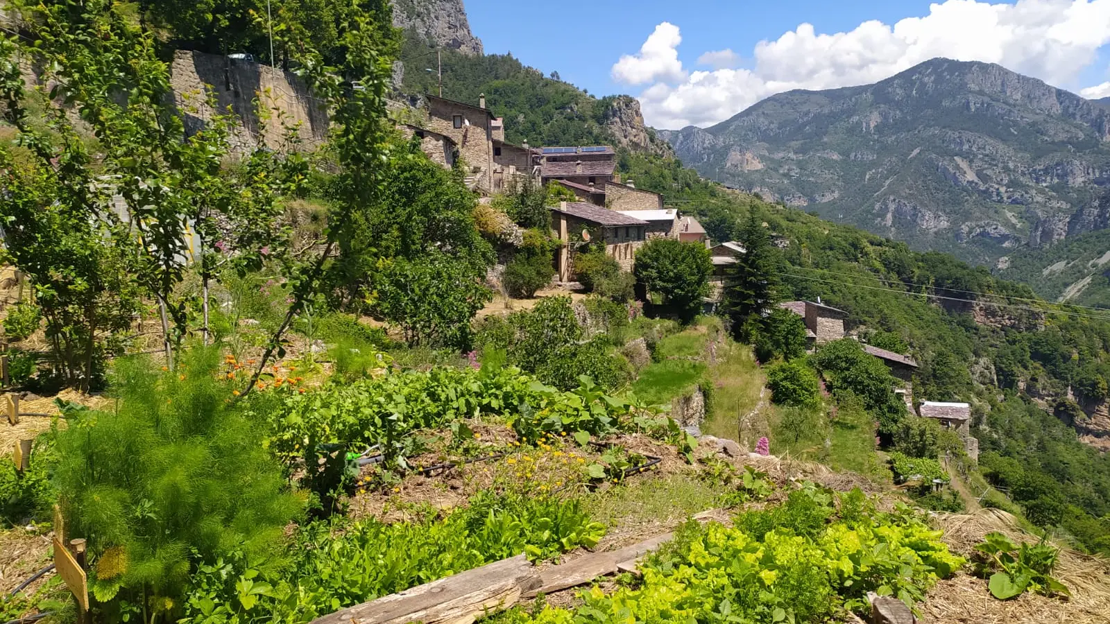 Jardins en terrasse Berghe inférieur