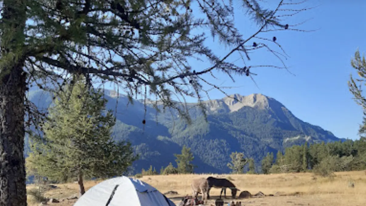 Bivouac avec les ânes - Arbraventure à Champoléon