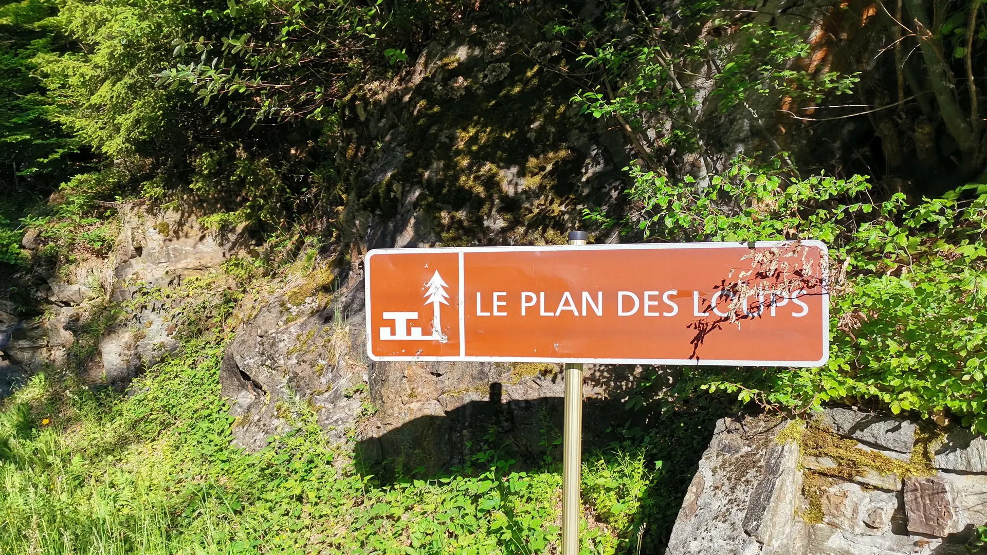 Le Plan des Loups