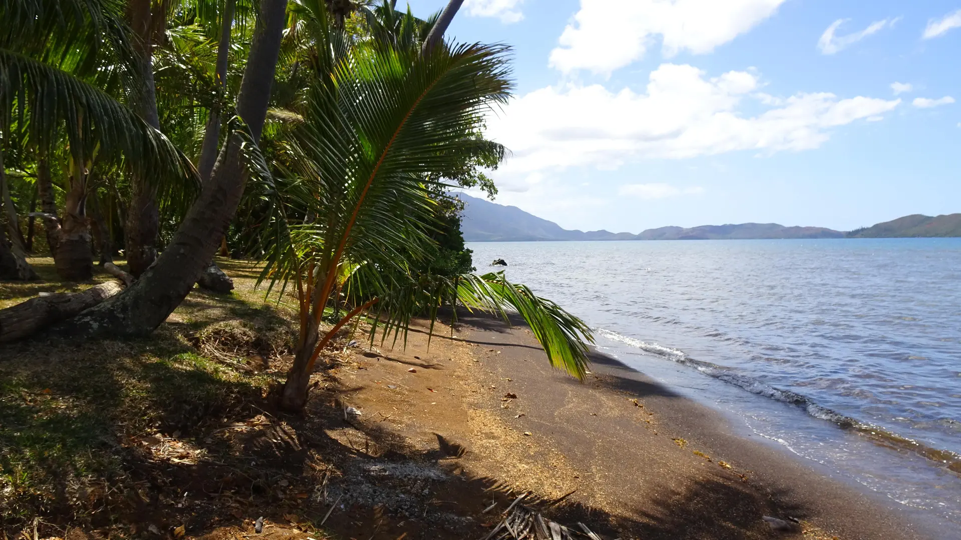 Plage du camping Dallas