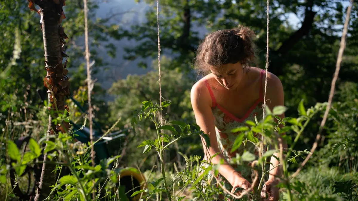 Cooking workshop with wild herbs