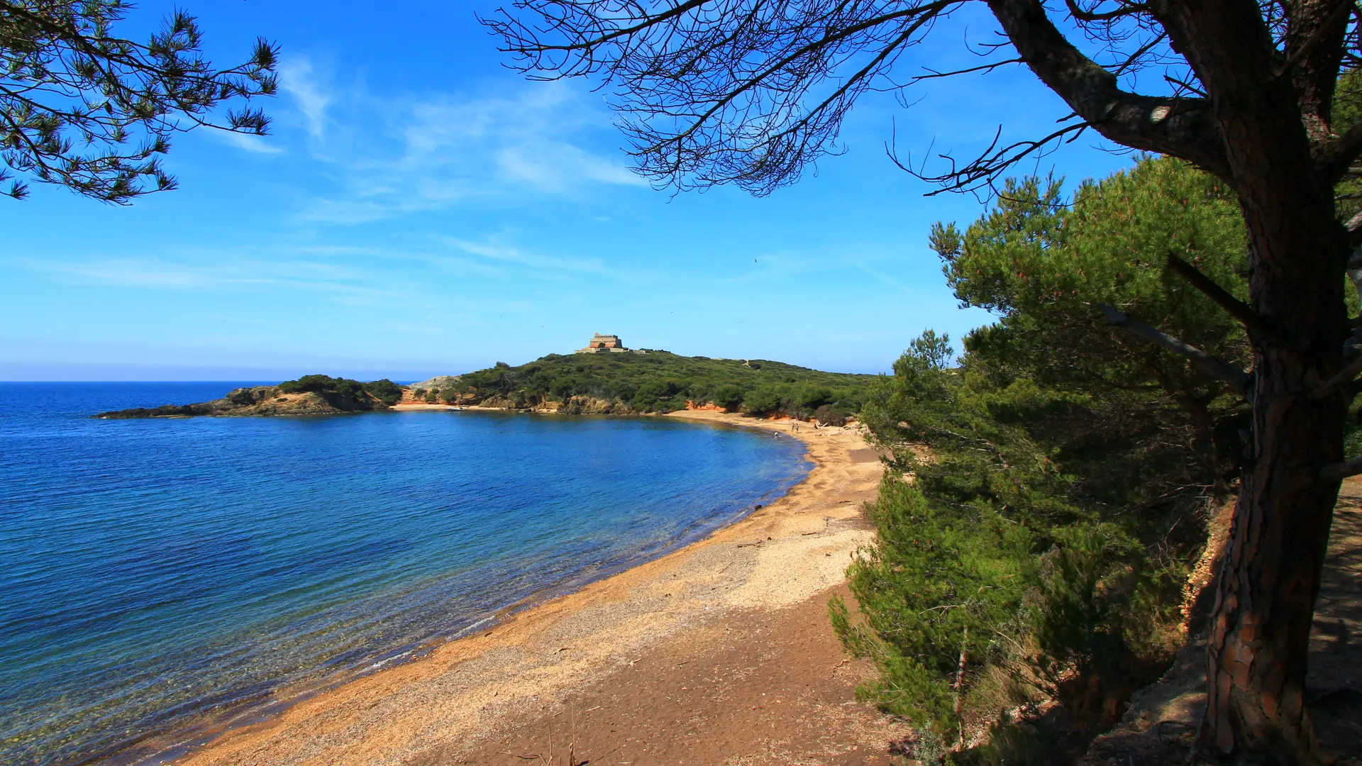 La plage noire du Langoustier à Porquerolles