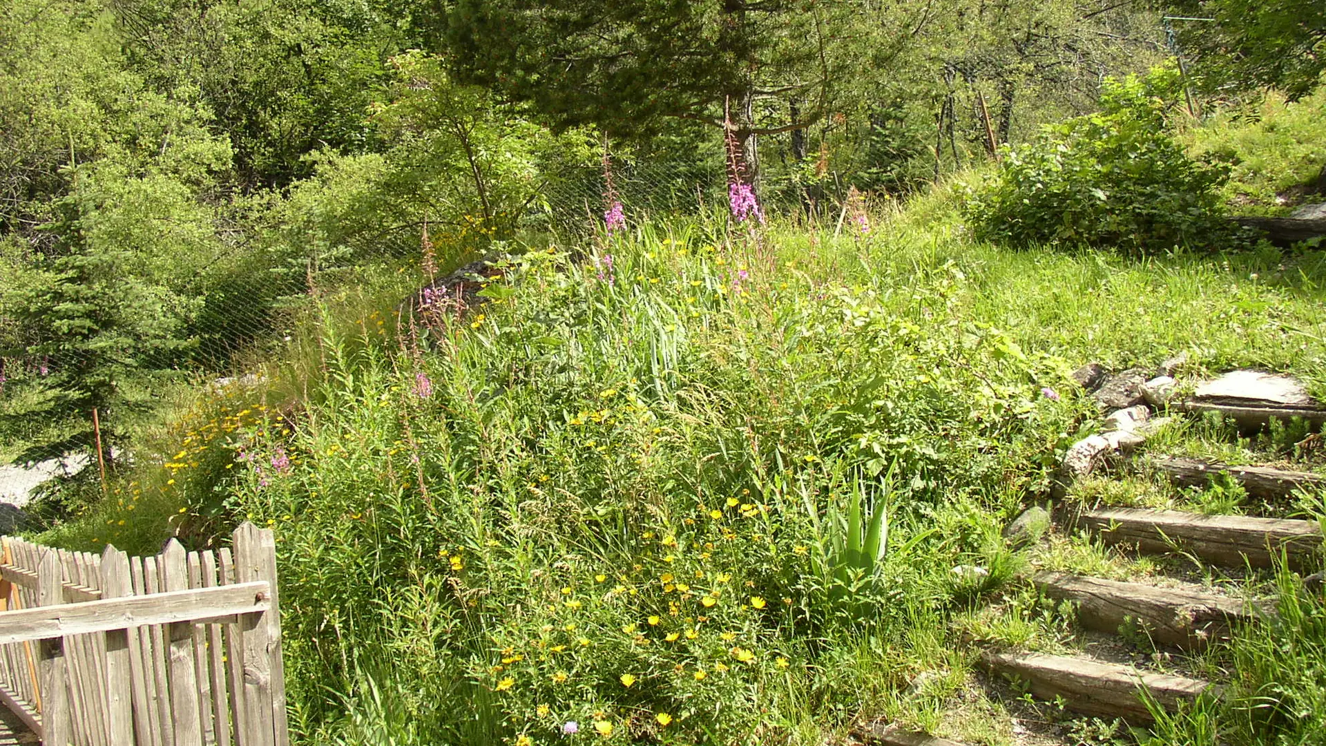 mènent à la terrasse ombragée