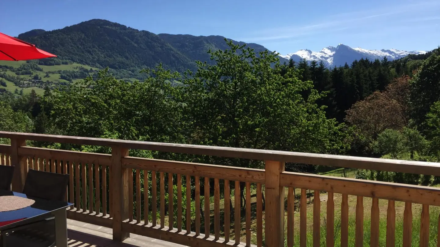 Vue de la terrasse sur le Buet