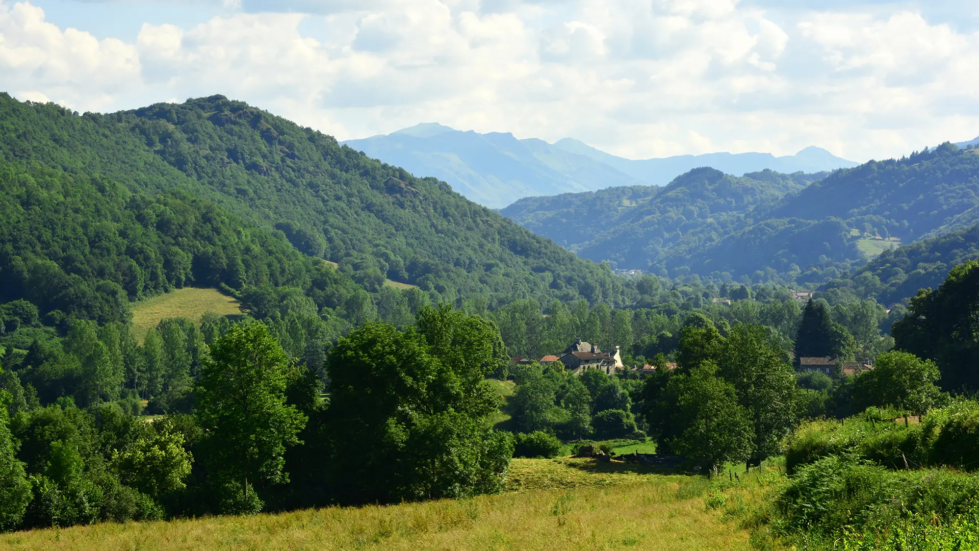 Vue sur les Monts du Cantal